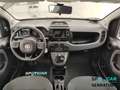 Fiat Panda Panda III 2021 Cross Panda 1.0 firefly hybrid Cro Rosso - thumbnail 14