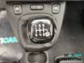 Fiat Panda Panda III 2021 Cross Panda 1.0 firefly hybrid Cro Rosso - thumbnail 12