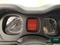 Fiat Panda Panda III 2021 Cross Panda 1.0 firefly hybrid Cro Rosso - thumbnail 10