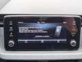 Skoda Kamiq 1.0 TSI DSG Edition+b.Lenkrad&Frontscheibe Silber - thumbnail 24
