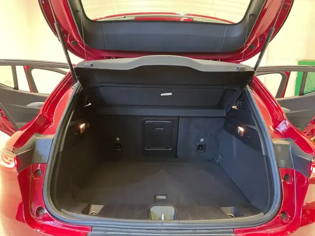 Alfa Romeo Tonale view 14