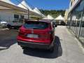 Nissan Qashqai 1.7 dCi 150 CV 4WD Business Rojo - thumbnail 5