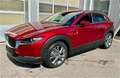 Mazda CX-30 e-Skyactive G140 Centre-Line mit Paket DESIG Rot - thumbnail 1