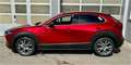 Mazda CX-30 e-Skyactive G140 Centre-Line mit Paket DESIG Rot - thumbnail 2