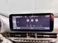 Fiat 500 Urban 42 kWh | Apple Carplay / Android auto | Crui Gris - thumbnail 17