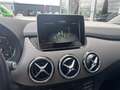 Mercedes-Benz B 200 CDI Aut. Grigio - thumbnail 9