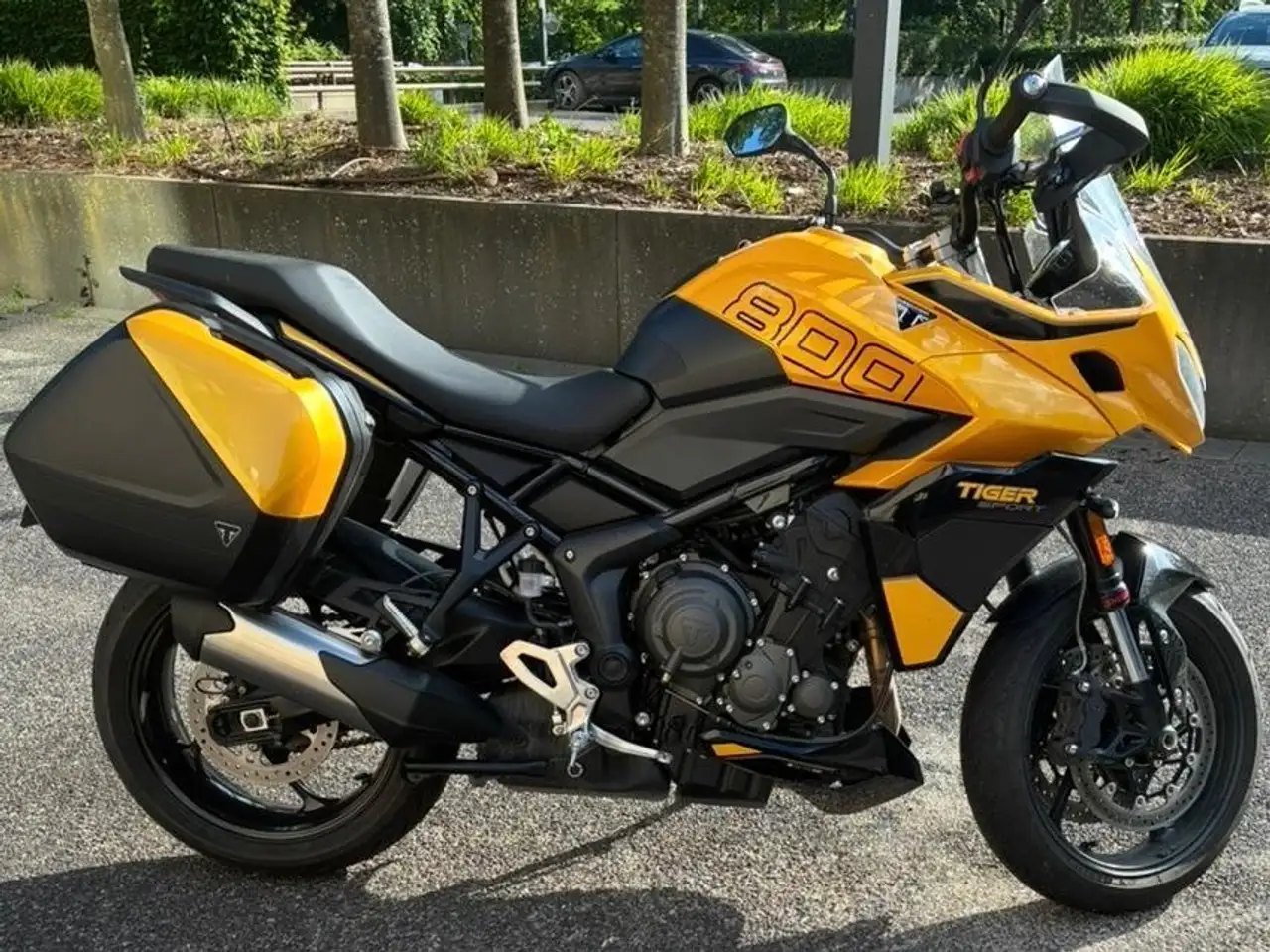 Triumph Tiger Sport