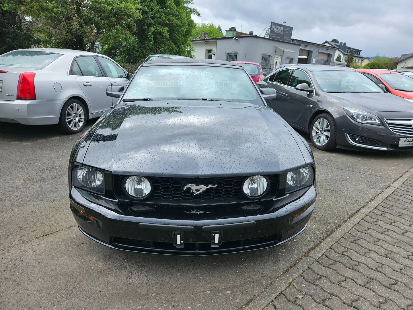 Ford Mustang GT V8 Чорний - 2