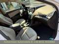Hyundai SANTA FE Premium 4WD PANO|LEDER|NAVI|KAMERA| Blanc - thumbnail 9