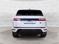 Land Rover Range Rover Evoque 2.0D I4-L.Flw 150 CV AWD Auto SE GARANZIA 24 MESI Bianco - thumbnail 7