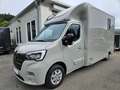 Renault Master Pferdetransporter "Sodiak" Grau - thumbnail 1