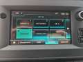 Renault Master Pferdetransporter "Sodiak" Grau - thumbnail 15