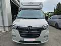 Renault Master Pferdetransporter "Sodiak" Grau - thumbnail 2