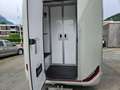 Renault Master Pferdetransporter "Sodiak" Grau - thumbnail 17