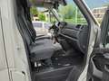 Renault Master Pferdetransporter "Sodiak" Grau - thumbnail 34