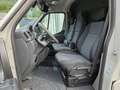 Renault Master Pferdetransporter "Sodiak" Grau - thumbnail 6