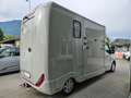 Renault Master Pferdetransporter "Sodiak" Grau - thumbnail 4