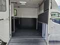 Renault Master Pferdetransporter "Sodiak" Grau - thumbnail 25