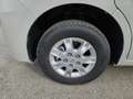 Renault Master Pferdetransporter "Sodiak" Grau - thumbnail 5