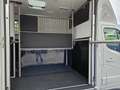 Renault Master Pferdetransporter "Sodiak" Grau - thumbnail 24