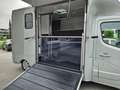 Renault Master Pferdetransporter "Sodiak" Grau - thumbnail 23