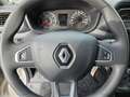 Renault Master Pferdetransporter "Sodiak" Grau - thumbnail 9