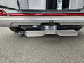 Renault Master Pferdetransporter "Sodiak" Grau - thumbnail 31