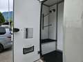 Renault Master Pferdetransporter "Sodiak" Grau - thumbnail 18