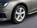 Audi A4 30 TDI advanced Grau - thumbnail 8