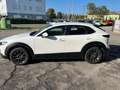 Mazda CX-30 CX-30 2.0 m-hybrid Evolve 2wd 150cv 6at Blanc - thumbnail 5