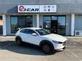 Mazda CX-30 CX-30 2.0 m-hybrid Evolve 2wd 150cv 6at Blanc - thumbnail 1