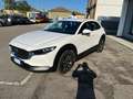 Mazda CX-30 CX-30 2.0 m-hybrid Evolve 2wd 150cv 6at Blanc - thumbnail 4