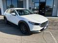 Mazda CX-30 CX-30 2.0 m-hybrid Evolve 2wd 150cv 6at Blanc - thumbnail 2