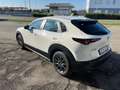 Mazda CX-30 CX-30 2.0 m-hybrid Evolve 2wd 150cv 6at Blanc - thumbnail 6