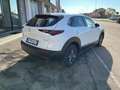 Mazda CX-30 CX-30 2.0 m-hybrid Evolve 2wd 150cv 6at Blanc - thumbnail 8