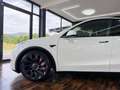 Tesla Model Y Model Y  PERFORMANCE * MWST * CARBON * 21 ZOLL * Weiß - thumbnail 11