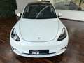 Tesla Model Y Model Y  PERFORMANCE * MWST * CARBON * 21 ZOLL * Weiß - thumbnail 3