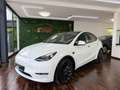 Tesla Model Y Model Y  PERFORMANCE * MWST * CARBON * 21 ZOLL * Weiß - thumbnail 2