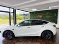 Tesla Model Y Model Y  PERFORMANCE * MWST * CARBON * 21 ZOLL * Weiß - thumbnail 9