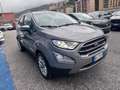 Ford EcoSport EcoSport 1.0 ecoboost 125CV Titanium Zilver - thumbnail 2