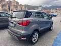 Ford EcoSport EcoSport 1.0 ecoboost 125CV Titanium Zilver - thumbnail 3