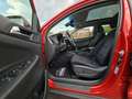 Hyundai TUCSON Premium 2.0 CRDi 4WD LED+NAVI+PANO+4xSHZG Roşu - thumbnail 7