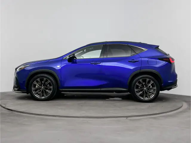 Lexus NX view 11