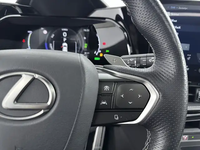 Lexus NX view 14