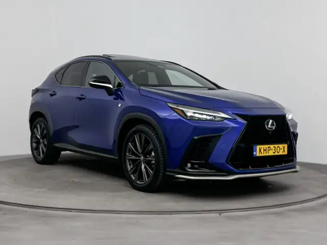 Lexus NX view 13