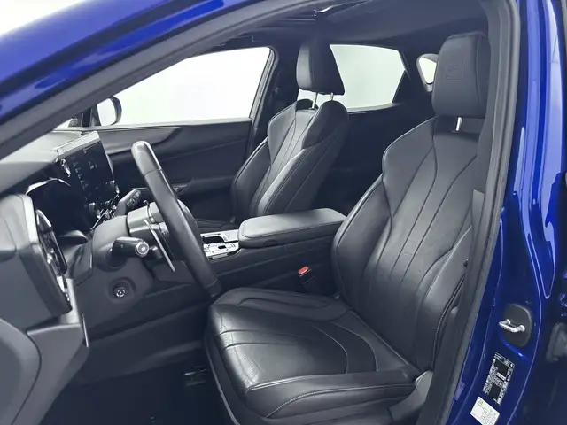 Lexus NX view 15