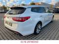 Kia Optima 1.7  CRD Sportswagon Vision Weiß - thumbnail 6