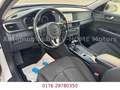 Kia Optima 1.7  CRD Sportswagon Vision Weiß - thumbnail 11