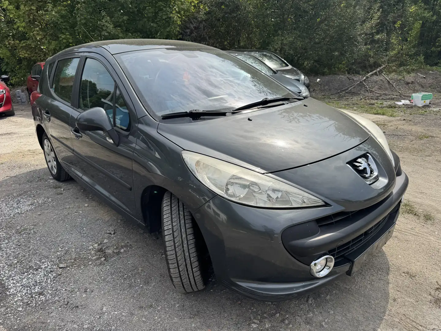 Peugeot 207 SW HDi FAP 90 (Blue Lion) Filou Gris - 2