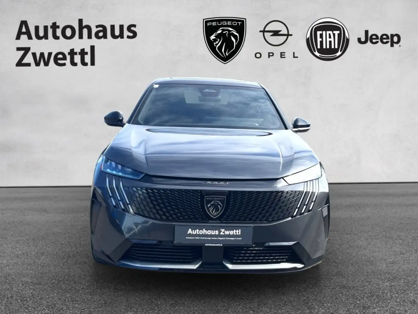 Peugeot 3008 -e Dual-Elektromotor 325PS 73 kWh AWD Grau - 2